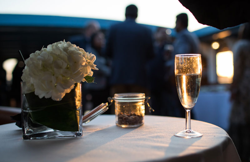 thames luxury charters summer elizabethan
